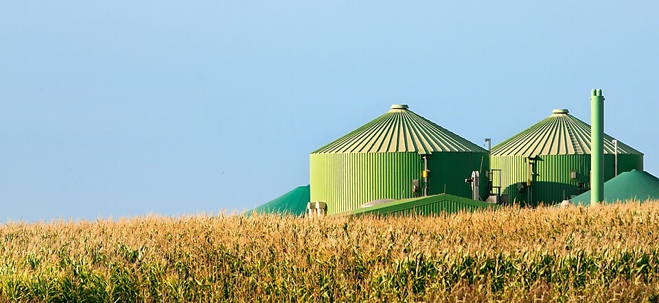 Biofuels